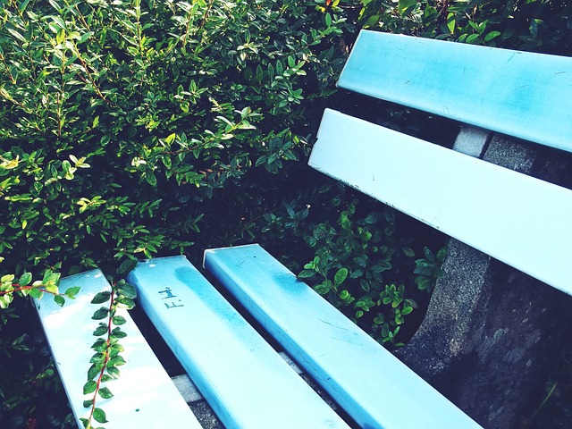 球员的转会 球员的转会